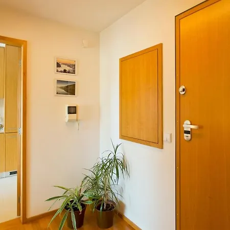 Modern And Quiet T1 With Private Garage Porto