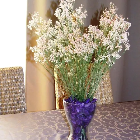 Διαμέρισμα Modern And Quiet T1 With Private Garage