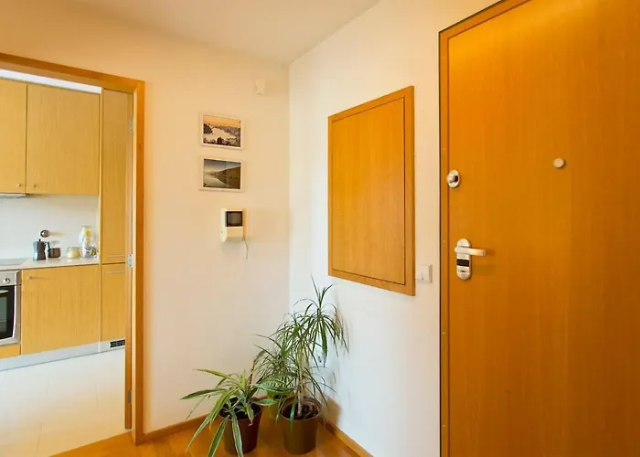 Modern And Quiet T1 With Private Garage Porto