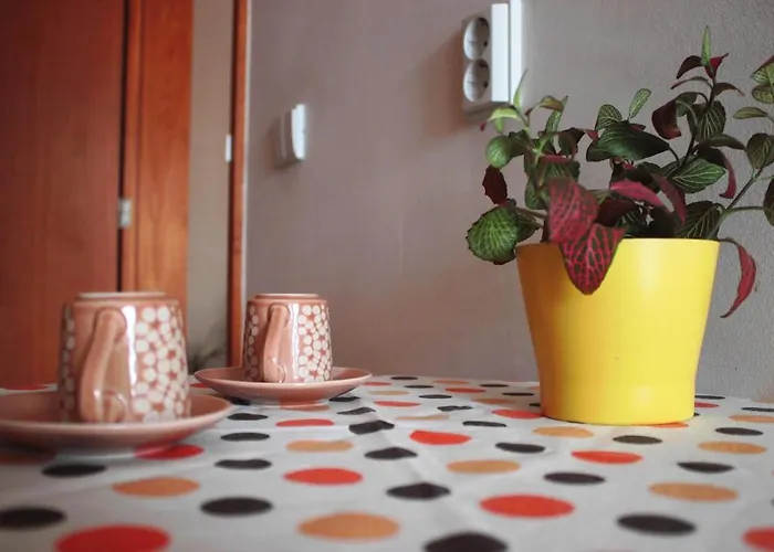 Appartement Modern And Quiet T1 With Private Garage Porto